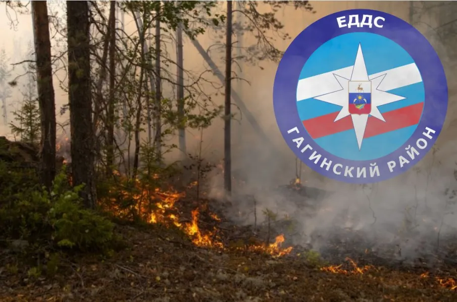 На территории Гагинского муниципального округа установился частично 4 класс  пожароопасности лесов.