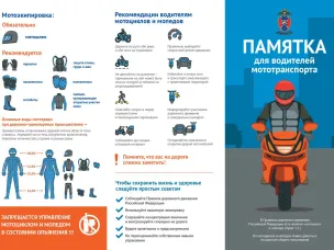 Пропаганда БДД
