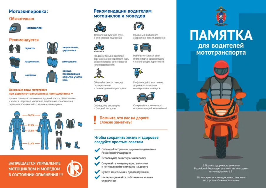 Пропаганда БДД
