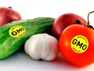 ГМО в продуктах питания и их влияние на человека.